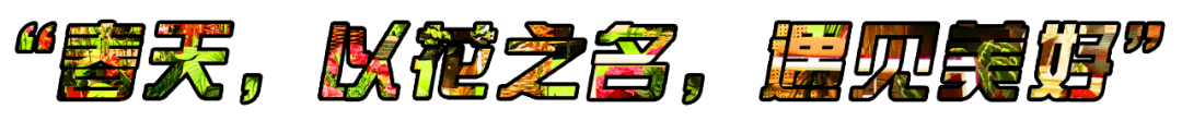 145200gk1c1uooc1aulxz3.png