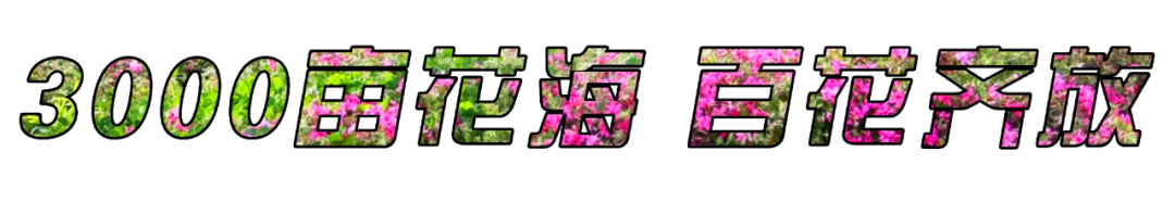 145200vxcickbsy0kkxcsy.png