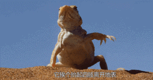 171830m2zoeesnj8gu6mgo.gif