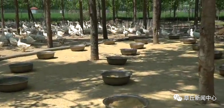 微信图片_20200504091313.png