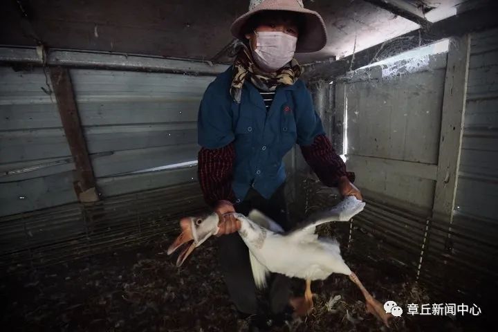 微信图片_20200504091331.jpg