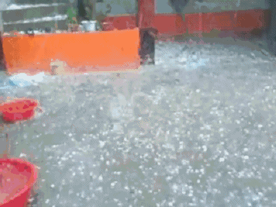 微信图片_20200511080934.gif