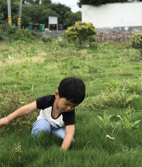 微信截图_20200521180751.png
