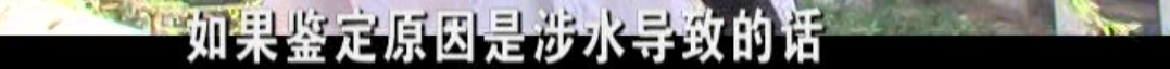 微信图片_20200522081547.png