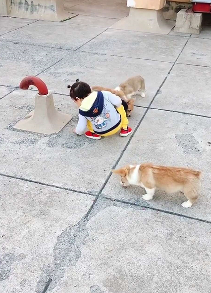 微信截图_20200522172754.png