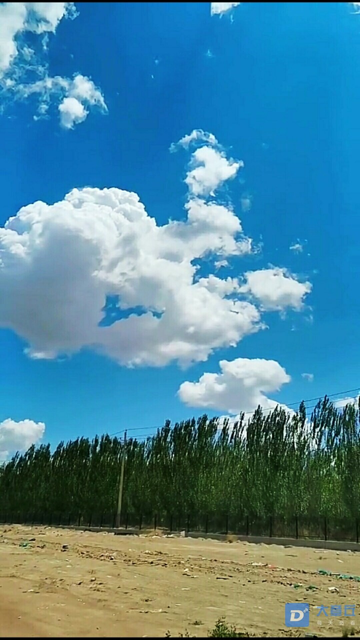 20200527_94008_1590531952471.jpg