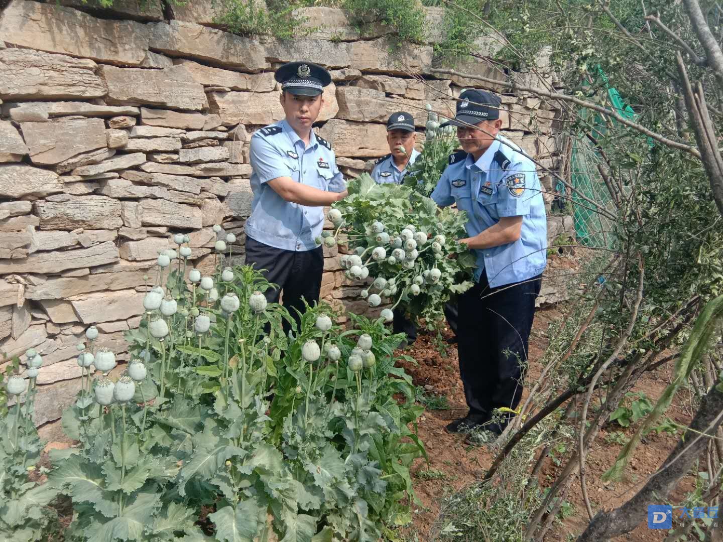 微信图片_20200530145035.jpg