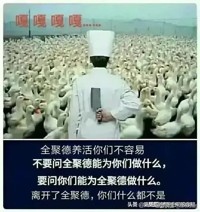 Fr3l34g2ZuXkkhCJvibonOvxdIKU.jpg
