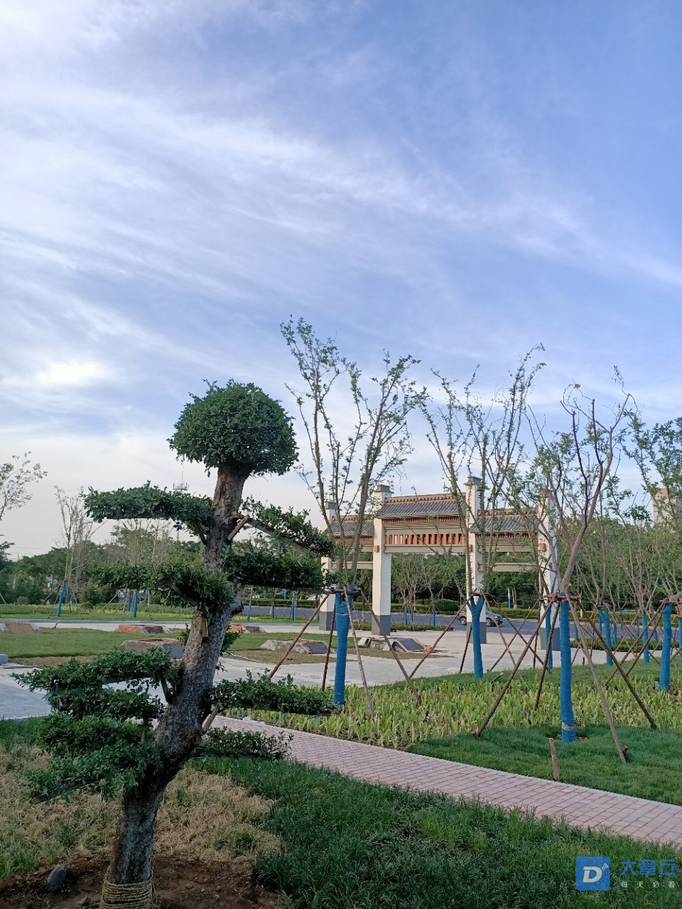 061615ndx24ld2zx4midnx.jpg