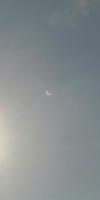 20200621_3341_1592725644858.jpg