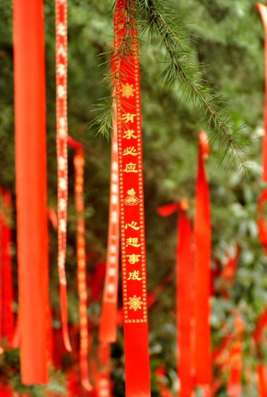 110352t8spp19h8gsh8n11.png