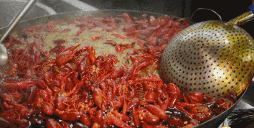 135312ysqw0t13a03wl5w9.gif