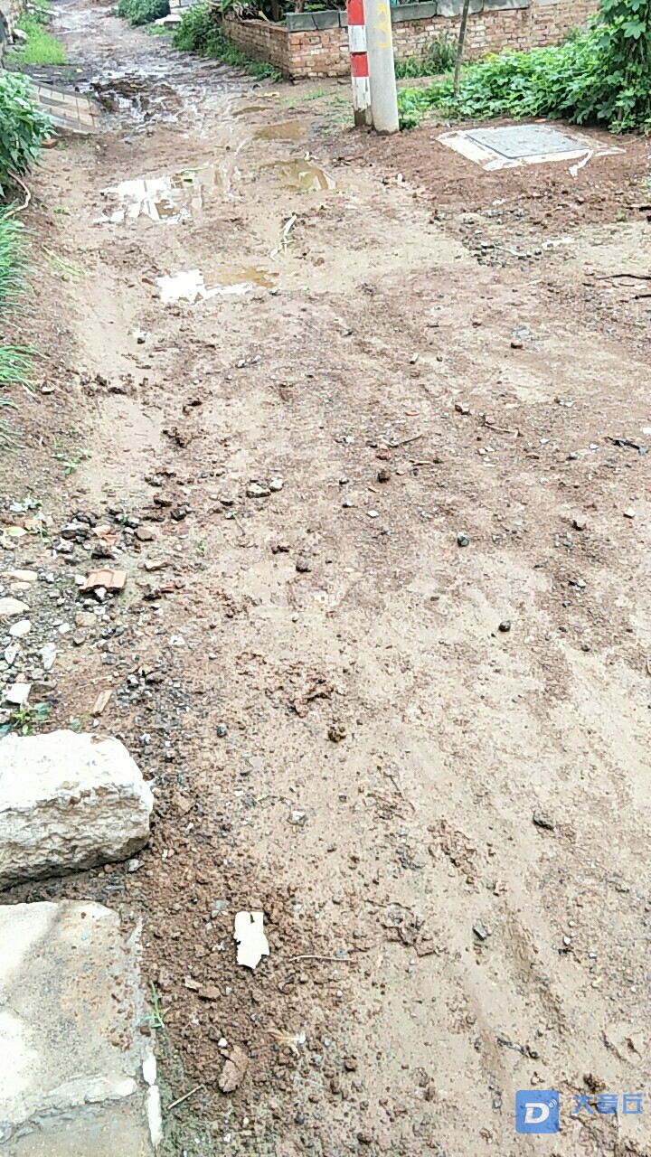 20200712_2786_1594523781175.jpg