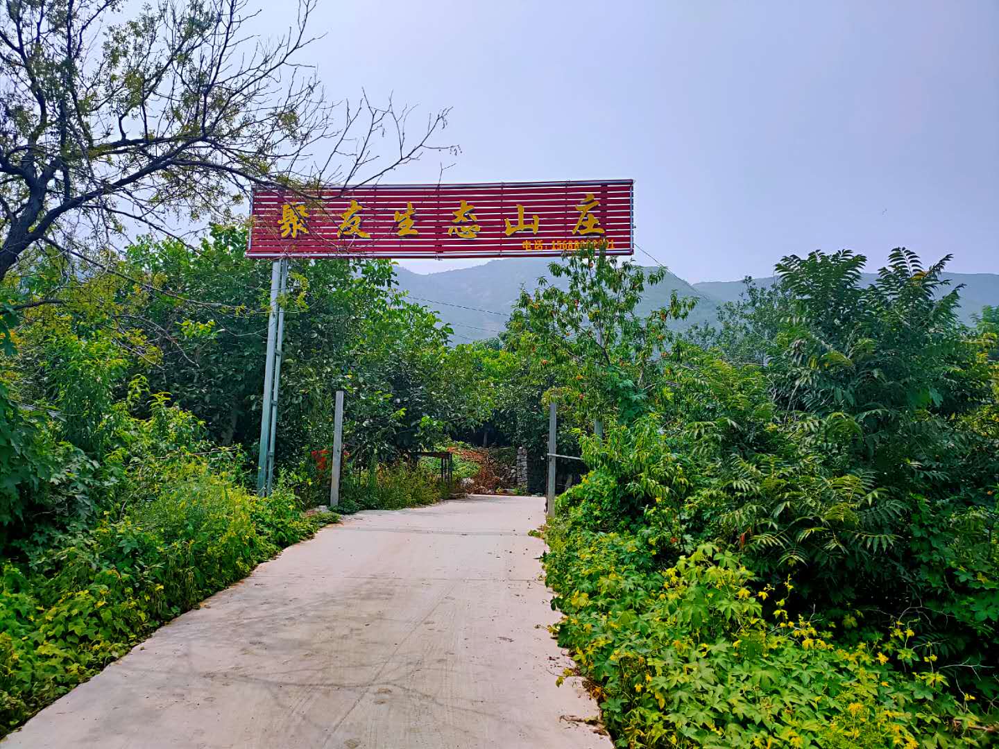 微信图片_20200728115723.jpg