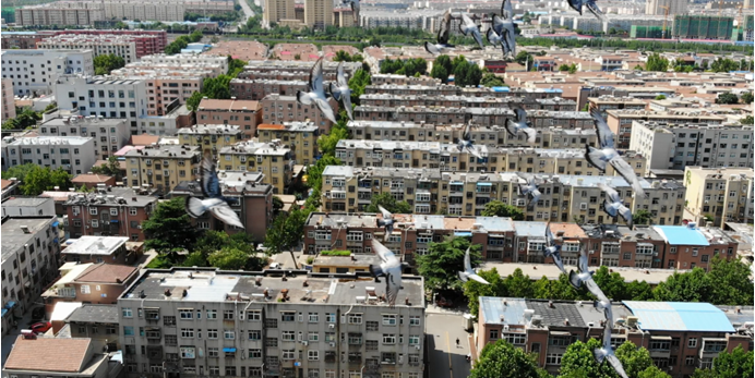 微信截图_20200731112946.png