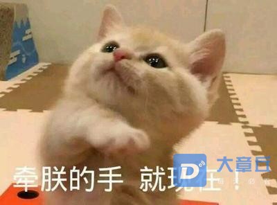 u=1803505416,2159486340&amp;fm=26&amp;gp=0.jpg