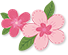 142312irap93anfndapsnn.png