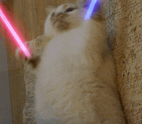 微信图片_20200806144947.gif