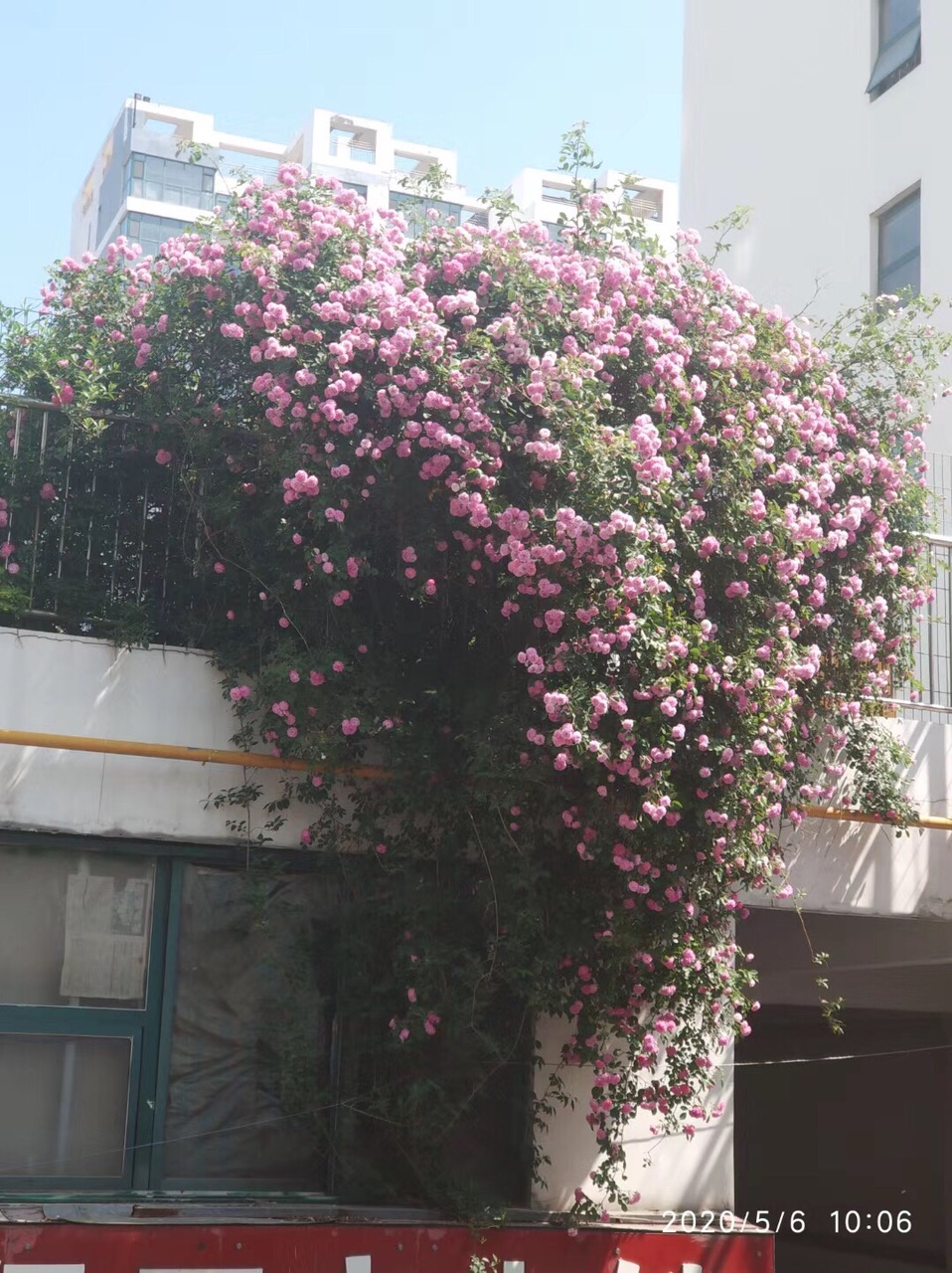 front1_0_FgViOpTbc066xV6iYMV8mz2aJEDy.jpg