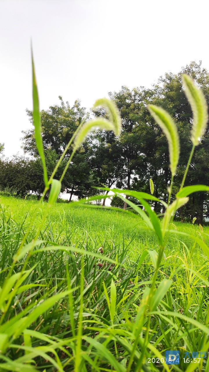 20200809_94008_1596952729757.jpg