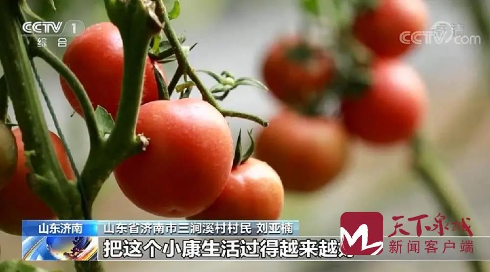 微信图片_20200818082625.jpg