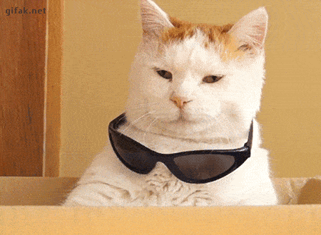 timg (1).gif