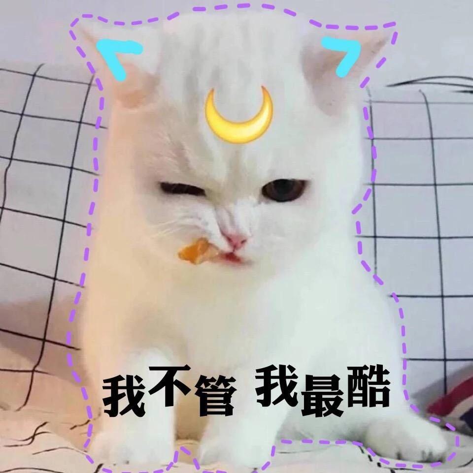 timg.jpg