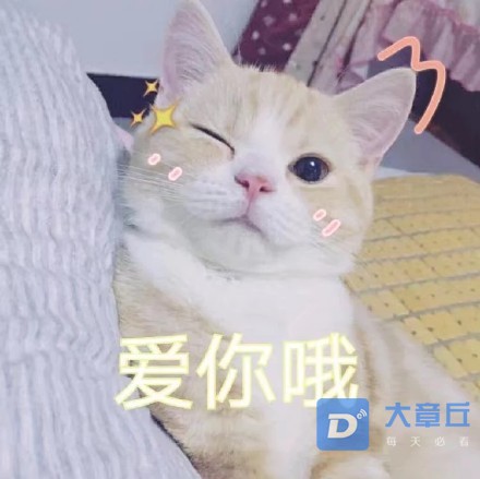 006DFKaTgy1fkwner6mpsj30ku0kt76i.jpg