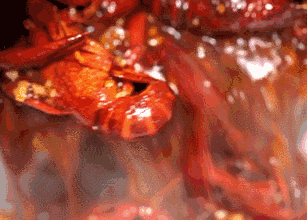 141942ozcflyt6ne9lc6fy.gif