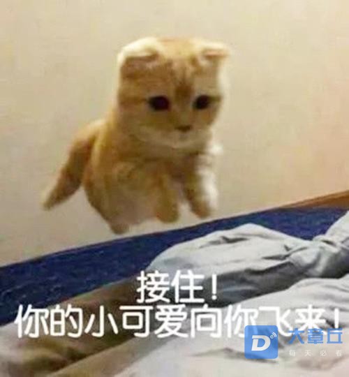 u=2390015580,2354967465&amp;fm=26&amp;gp=0.jpg