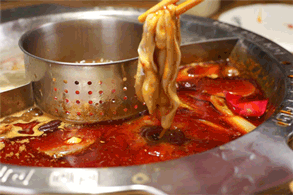 151043fi7z69pn86ji8j1x.gif