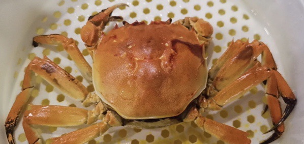 front1_0_Ftf0JOpT-vqNTVh0VRM4JLH_XR1m.jpg