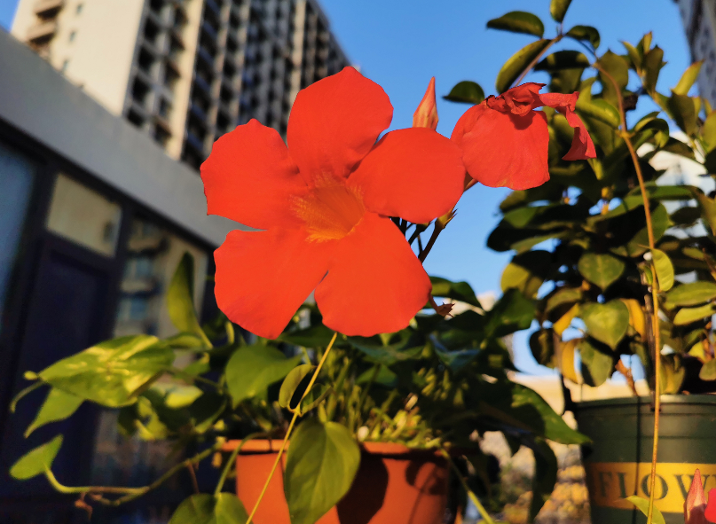 微信截图_20200927103437.png