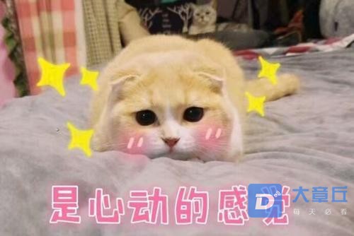 u=133108499,2465159587&amp;fm=26&amp;gp=0.jpg