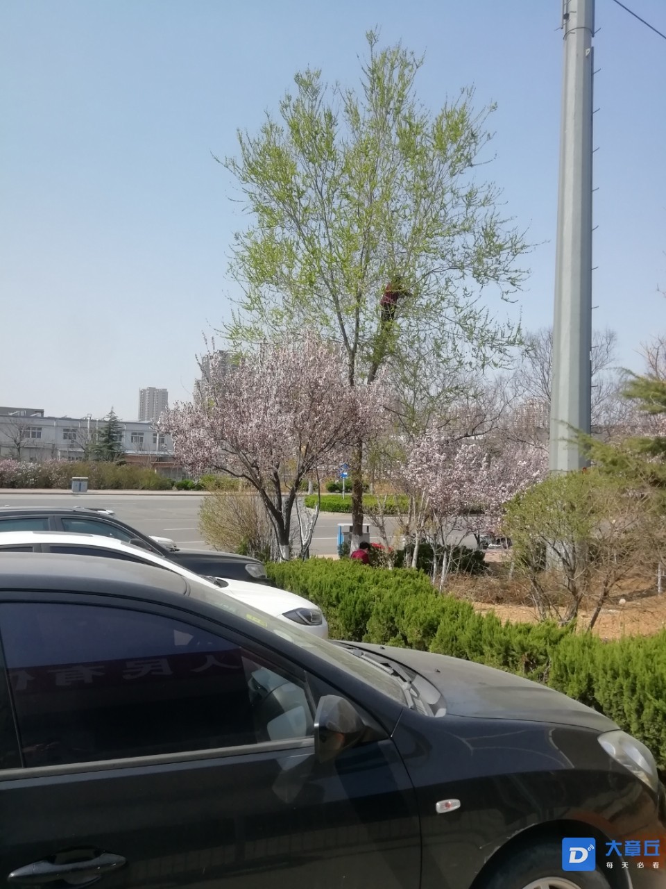 122107saama2bcb020qcud.jpg