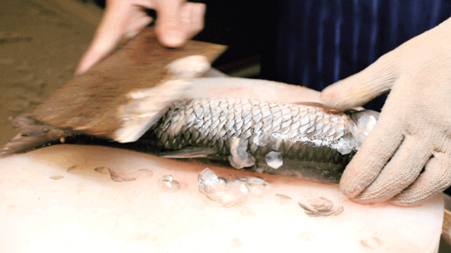135421gds8sdl58skak849.gif
