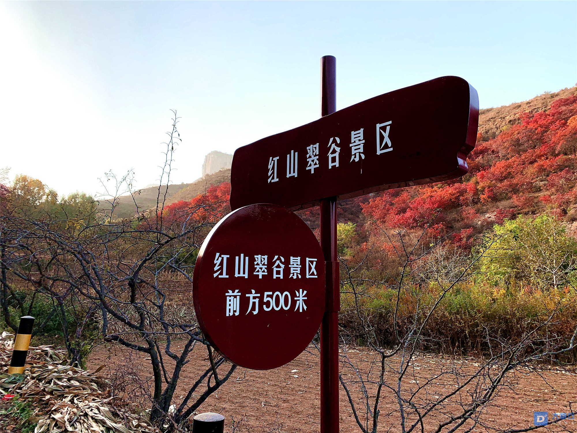 IMG_2400 - 星速看图王_副本1.jpg