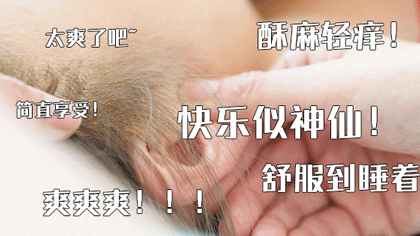 160356lfb2bxfzmaigg07q.gif