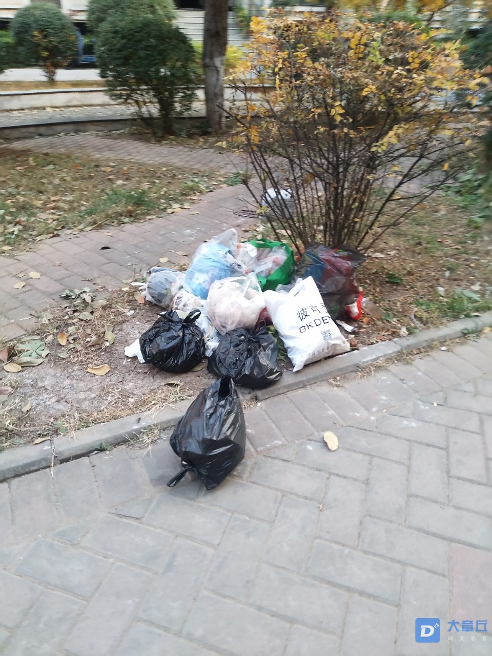 front2_0_Fgd0zC_isozP5QGbXgZ4P3kfCeS4.1604446979.jpg