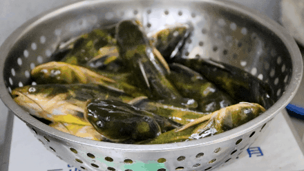130802q4udrkumt54d544d.gif