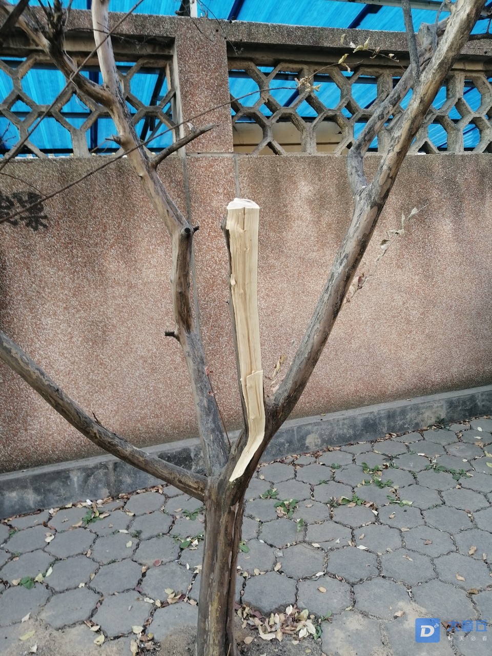 front2_0_FjHdOp03RRXyr216sjFjuHkzn7xn.1604707259.jpg