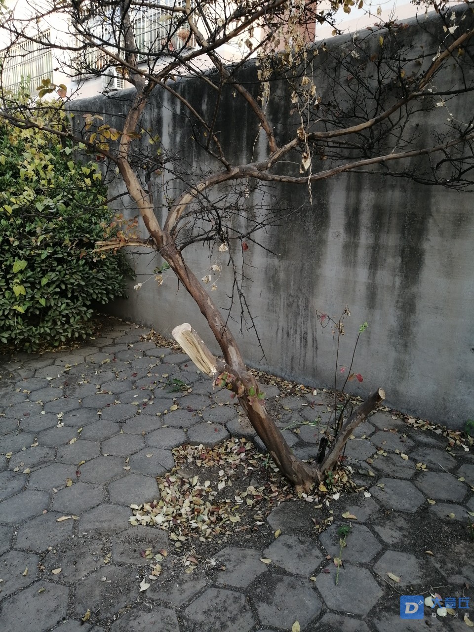 front2_0_FiIHoRC8dfhjO00PokadLL3L3OSK.1604707259.jpg