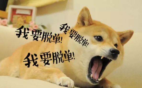 08d5d3b8ad4a4731b7906df46d88bdf9.jpeg