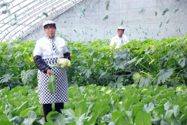 013143etu1212xn5nnnuyo.gif