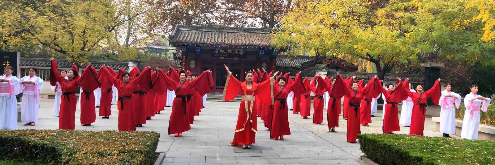 微信图片_20201118091954.jpg