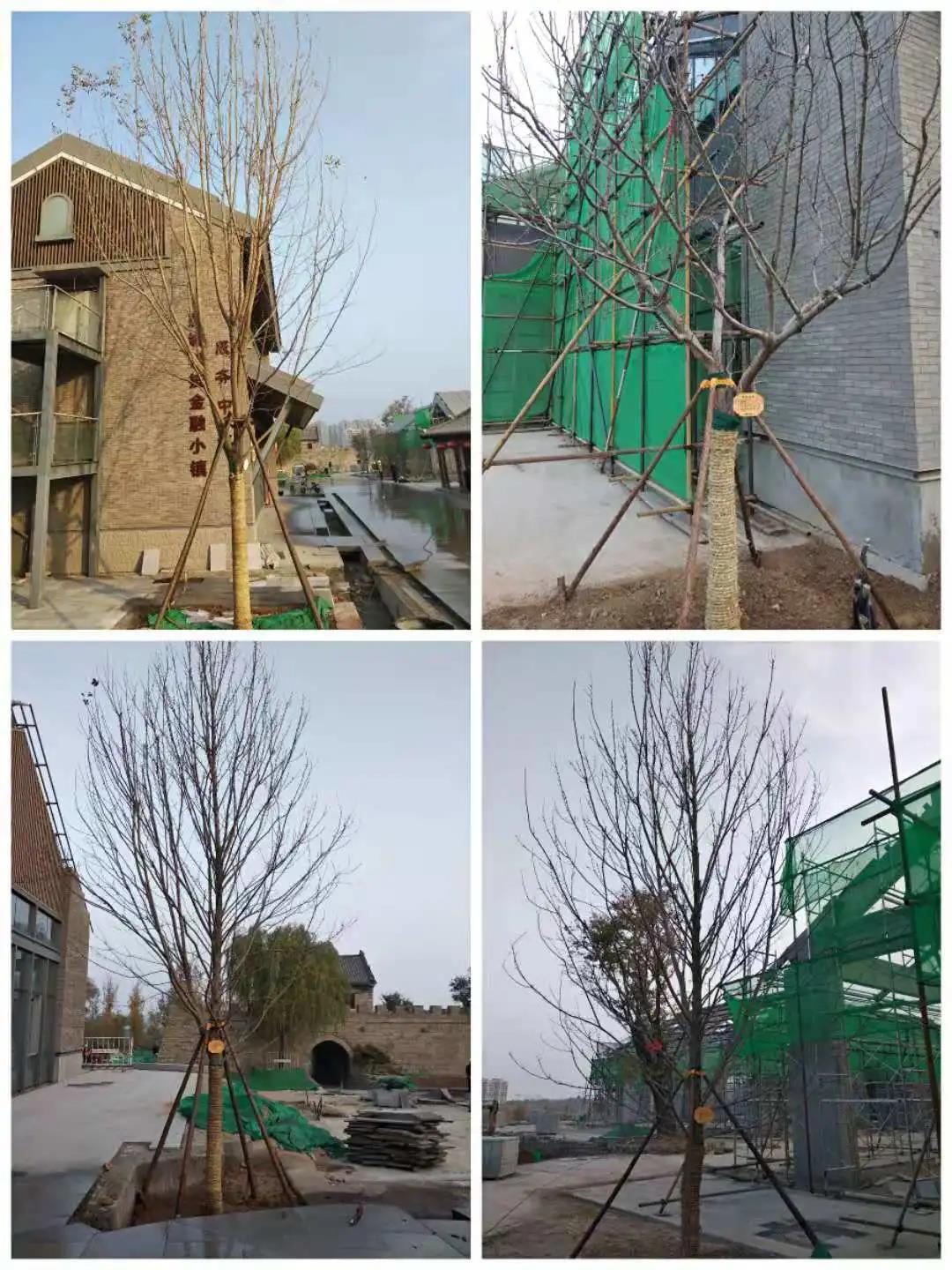 微信图片_20201118095558.jpg