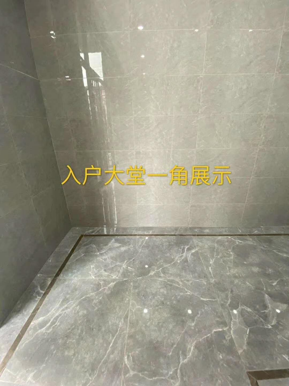 front2_0_FopuPHnt3IV_IG65Eg8FbxcmO1Q9.1606132702.jpg
