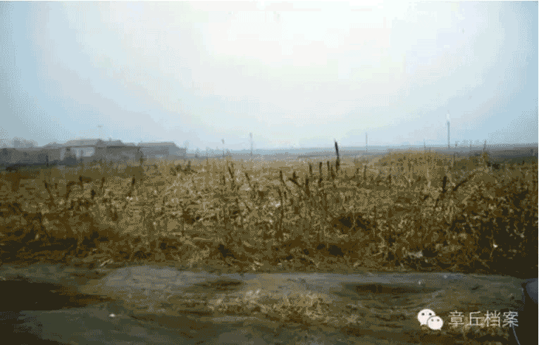 093536a04w669llcal9ulu.gif