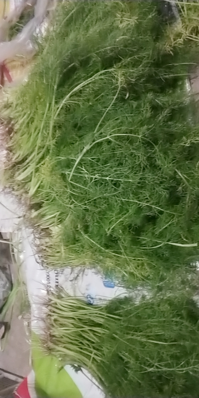 front2_0_FmLlRtH9M3PbCLgWjoqcD2KsmL-k.1607595130.jpg