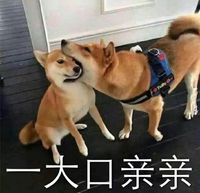 u=2609128764,3112729469&amp;fm=26&amp;gp=0.jpg